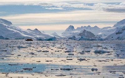 Types of Sea Ice in Antarctica