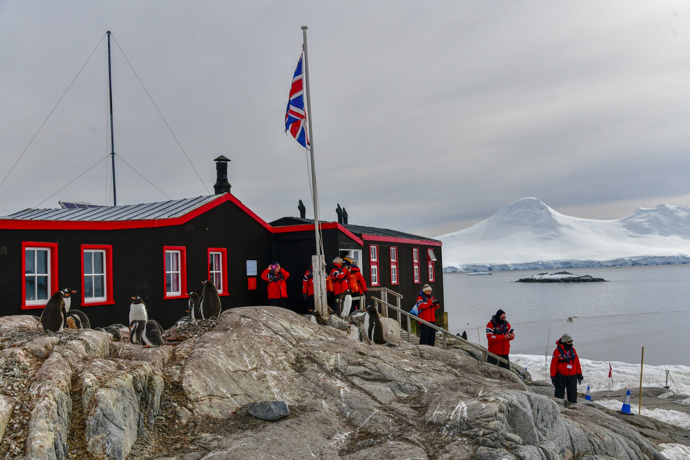 Counting penguins in Antarctica