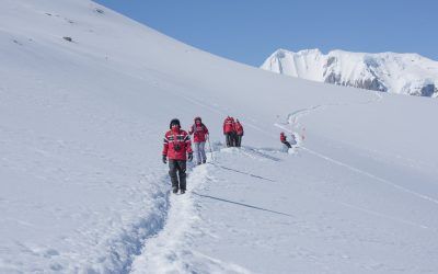 Everything You Need to Know About Hiking the White Continent