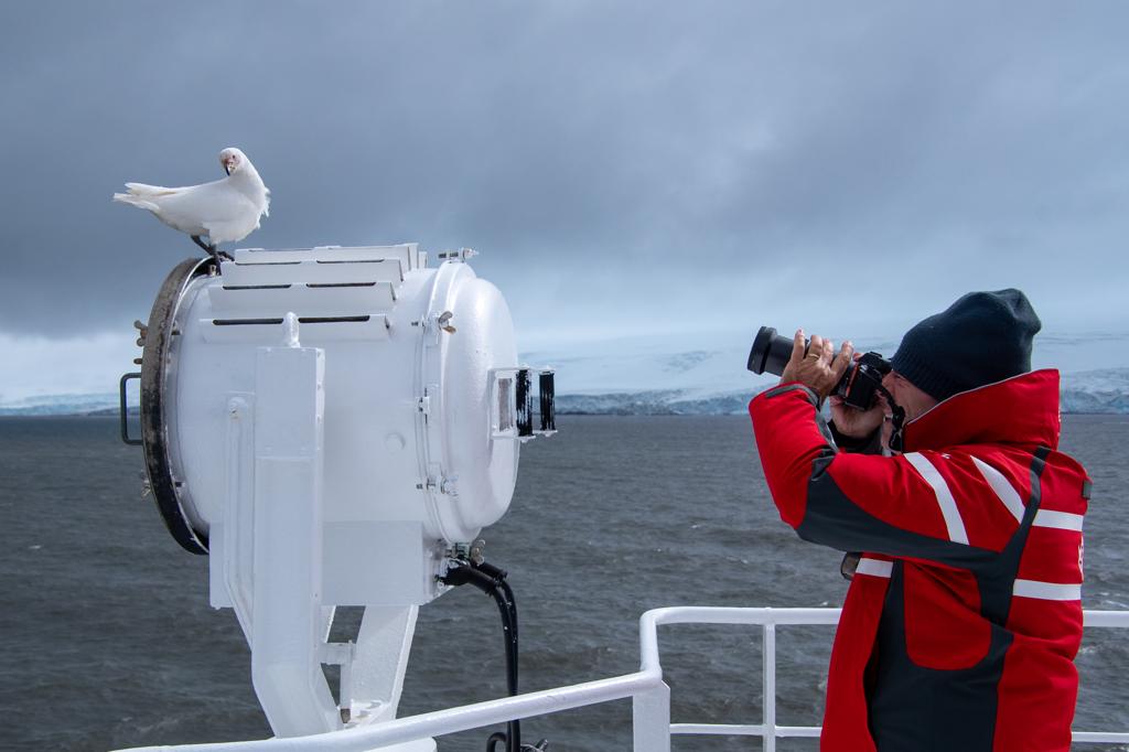 Photography and Birding