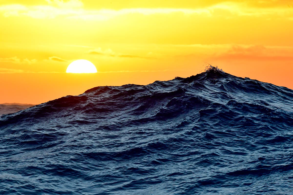 wave-sunset-bg Counting penguins in Antarctica