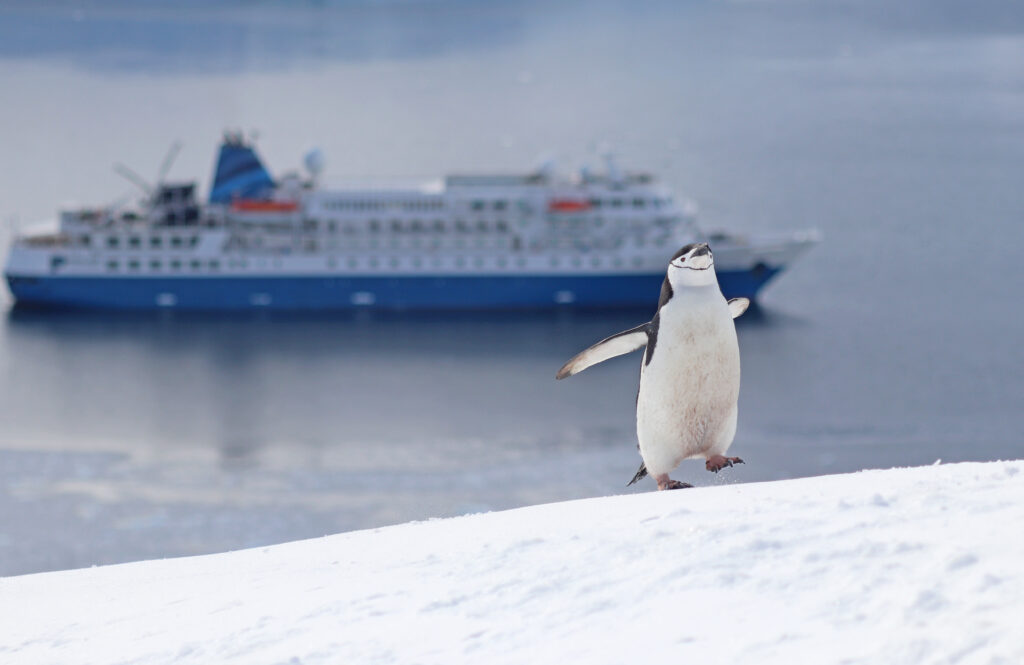 Unveiling Our Antarctica 202526 Season Polar Latitudes