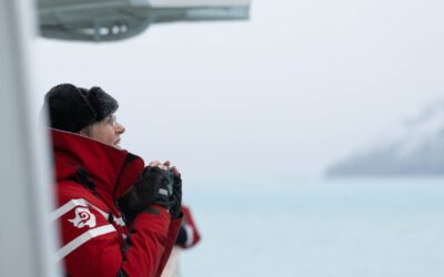 Solo Travel in Antarctica