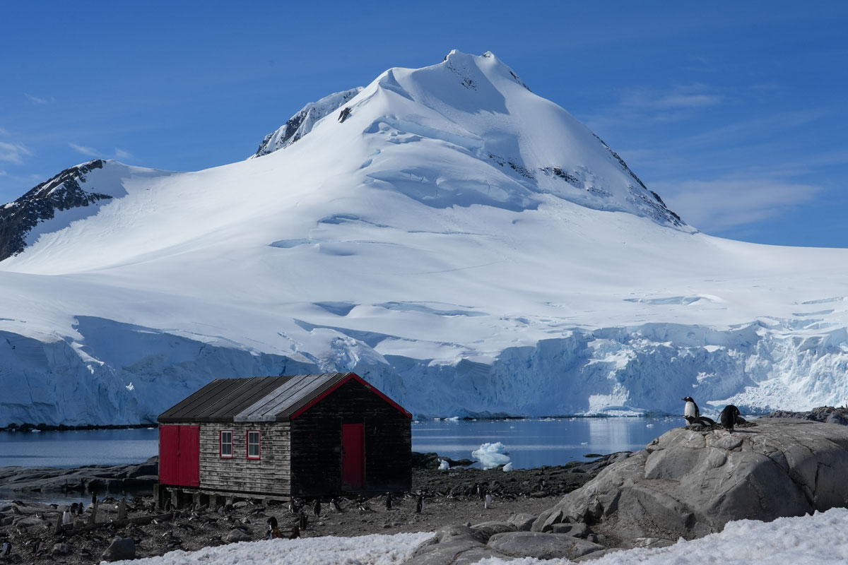 Counting penguins in Antarctica