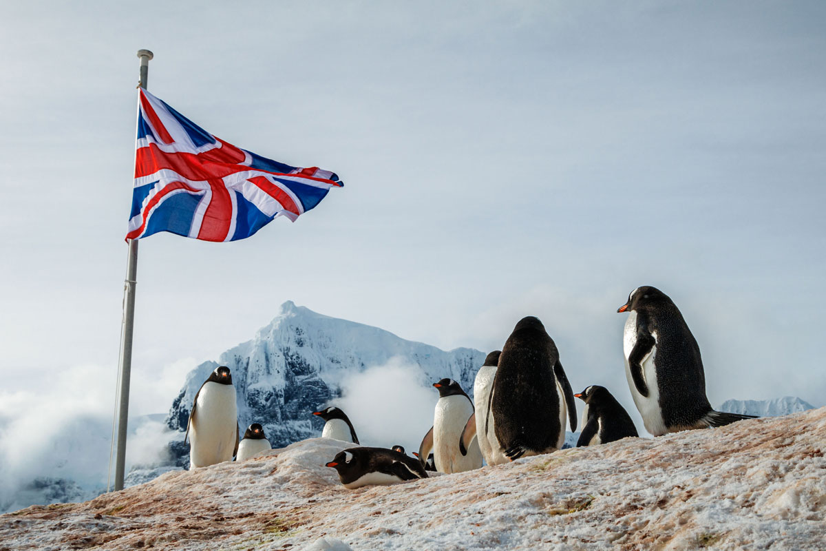 Counting penguins in Antarctica
