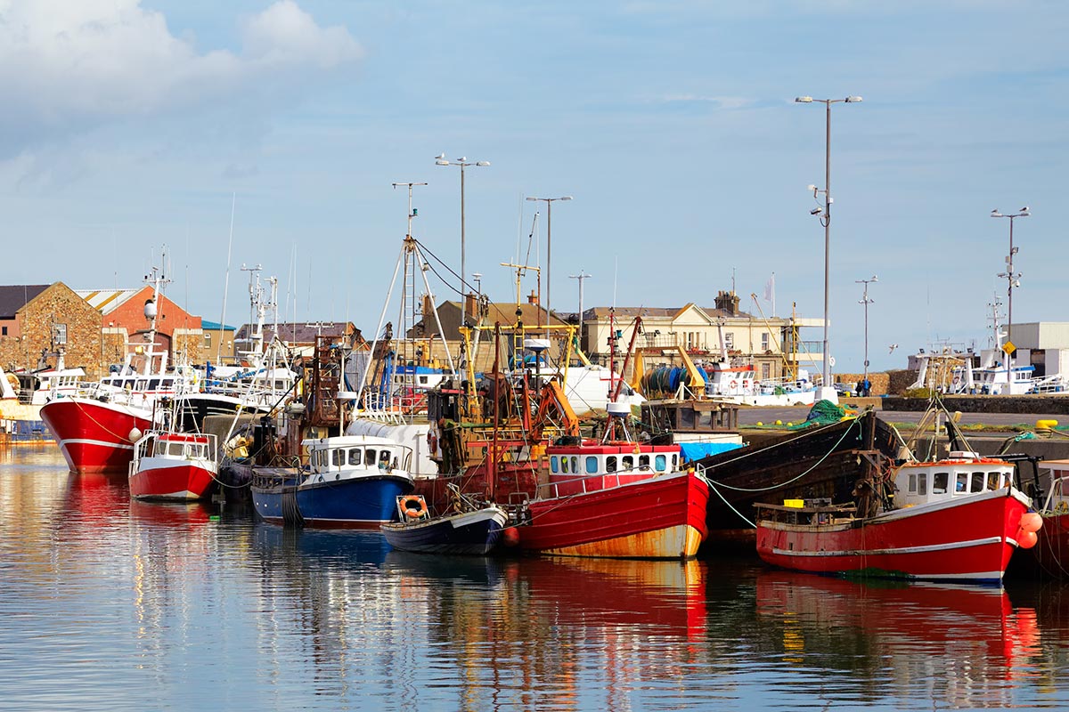 howth-harbor