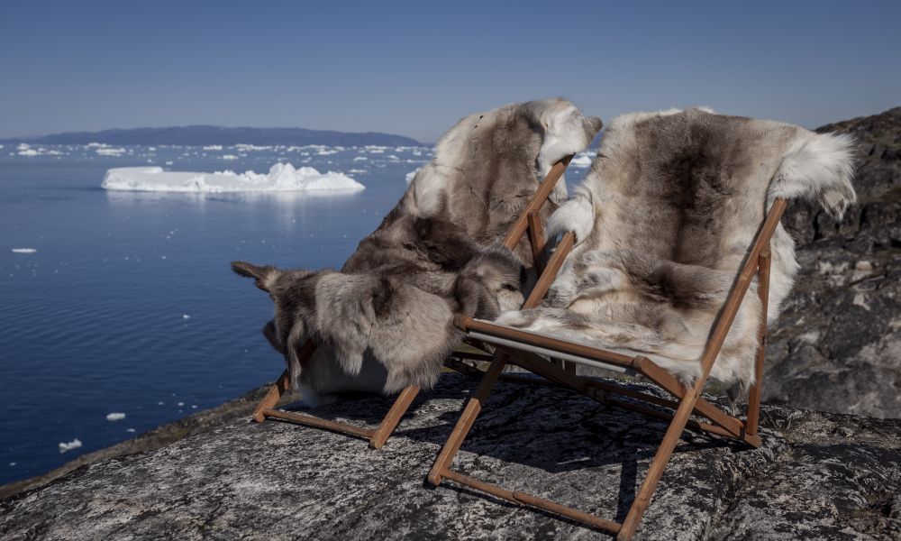 Chairs with pelt coverings.