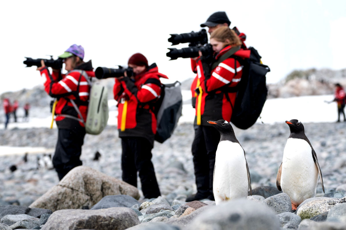 Woman in yellow bikini does the polar plunge in Antarctica