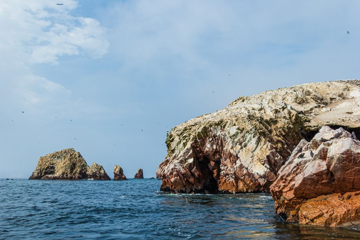 Ballestas Islands (1200x800)